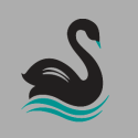 Black Swan LLC